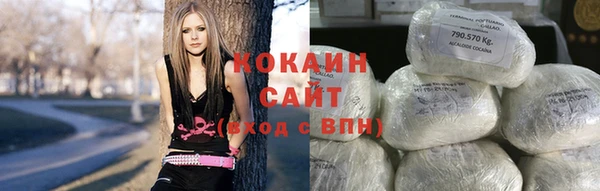 шишки Бородино