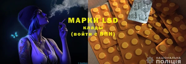 шишки Бородино