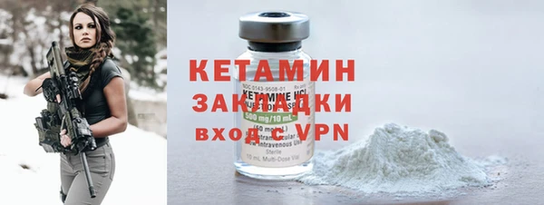 шишки Бородино