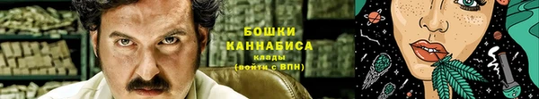 шишки Бородино