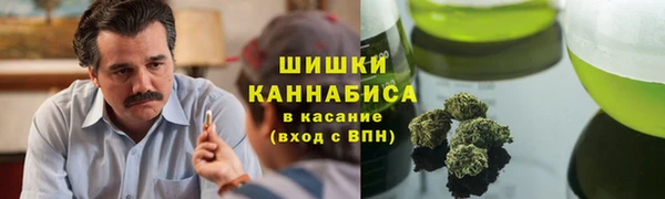 амф Верея