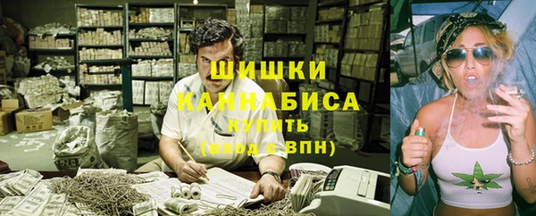 шишки Бородино