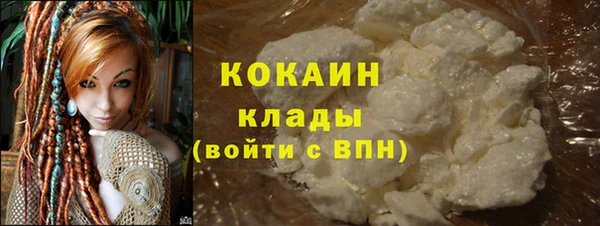 шишки Бородино