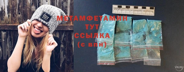 шишки Бородино
