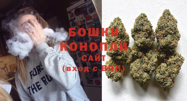 шишки Бородино
